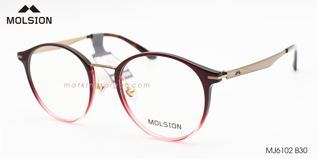 GỌNG KÍNH MOLSION MJ6102 B30