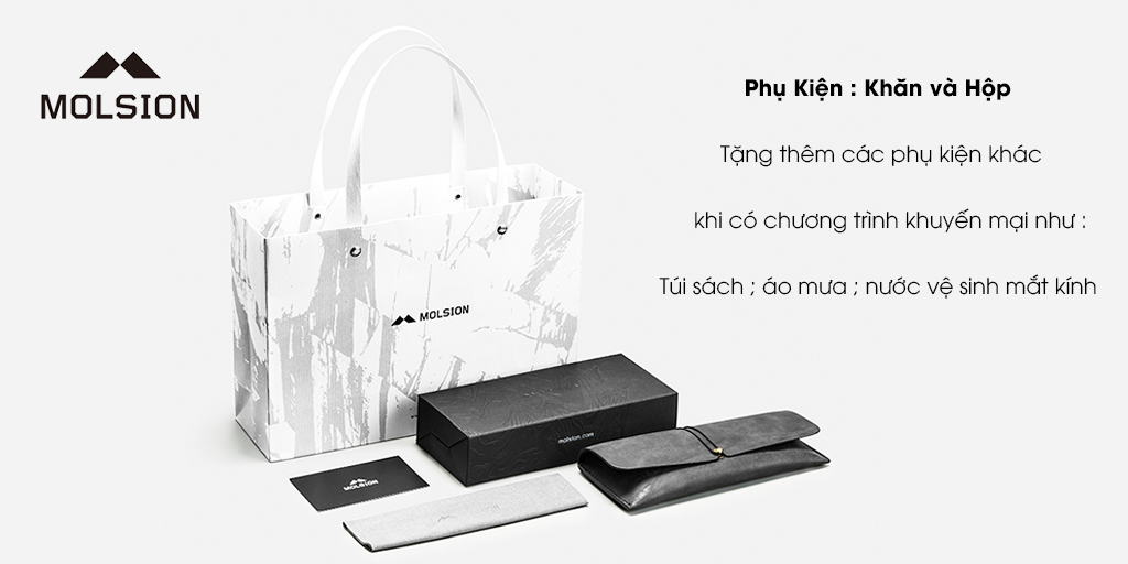 GỌNG KÍNH MOLSION MJ6102 B20 - Hình 5