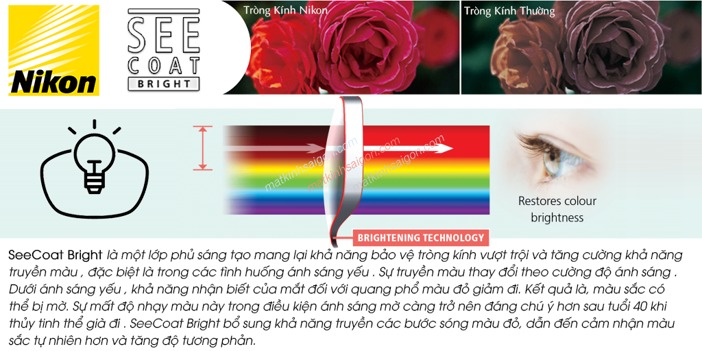 TRÒNG KÍNH PHẲNG 1 MẶT NIKON 1.67 LITE 4AS ECC - Hình 10