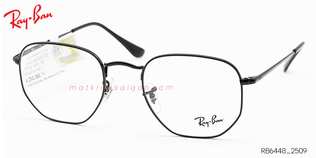 Gọng Kính Hợp Kim Metal RayBan RB6448_2509