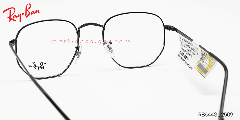 Gọng Kính Hợp Kim Metal RayBan RB6448_2509 - Hình 4
