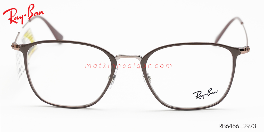 Gọng Kính Hợp Kim Metal RayBan RB6466_2973 - Hình 3