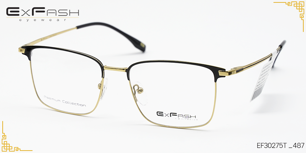 Gọng kính Hợp Kim Exfash EF30275T _487