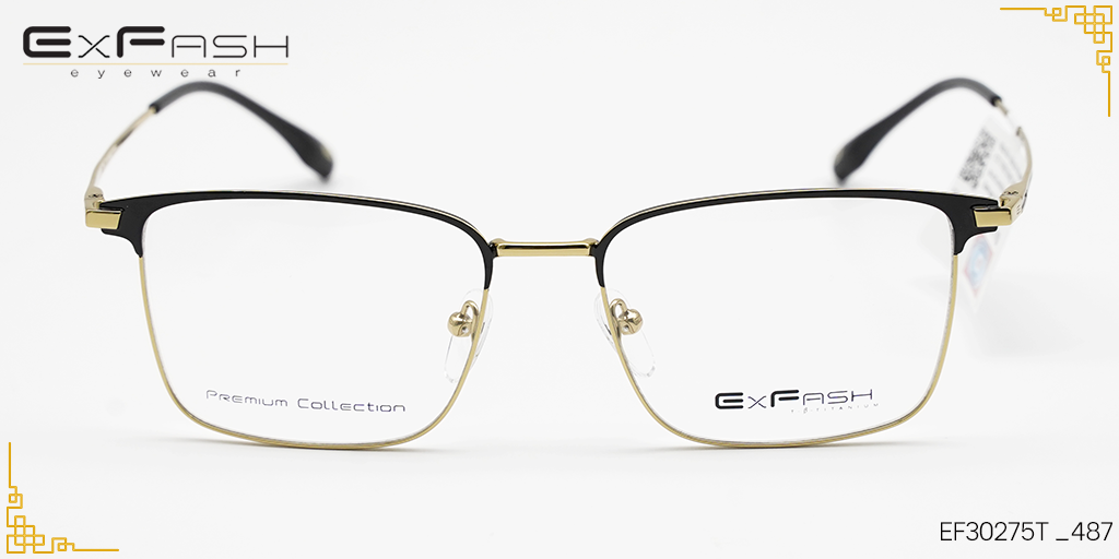 Gọng kính Hợp Kim Exfash EF30275T _487 - Hình 3