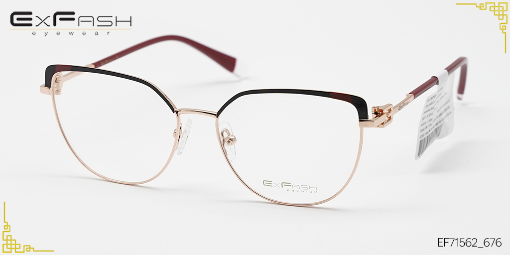 Gọng Kính Hợp Kim Exfash EF71561_592