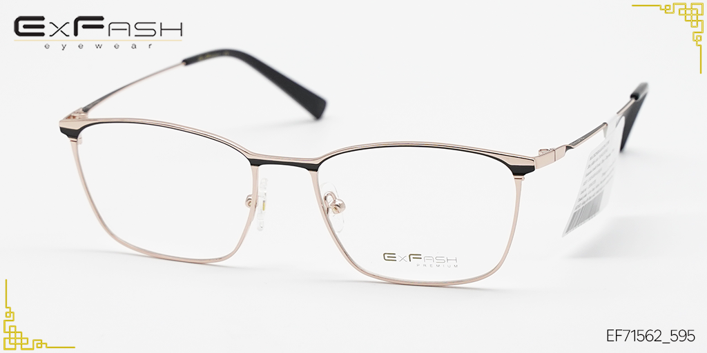 Gọng Kính Hợp Kim Exfash EF71562_595