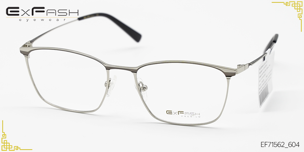 Gọng Kính Hợp Kim Exfash EF71562_604