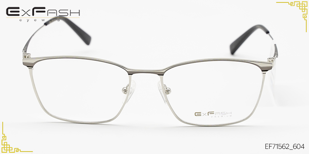 Gọng Kính Hợp Kim Exfash EF71562_604 - Hình 3