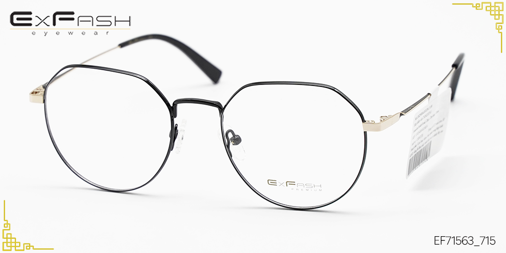 Gọng Kính Hợp Kim Exfash EF71563 715
