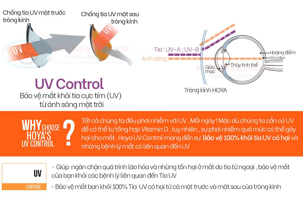 Tròng Kính 1.55 HOYA Stellfy BlueControl - Hình 4