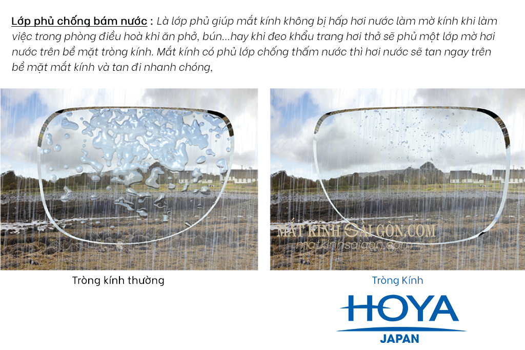 Tròng Kính 1.55 HOYA Stellfy BlueControl - Hình 8