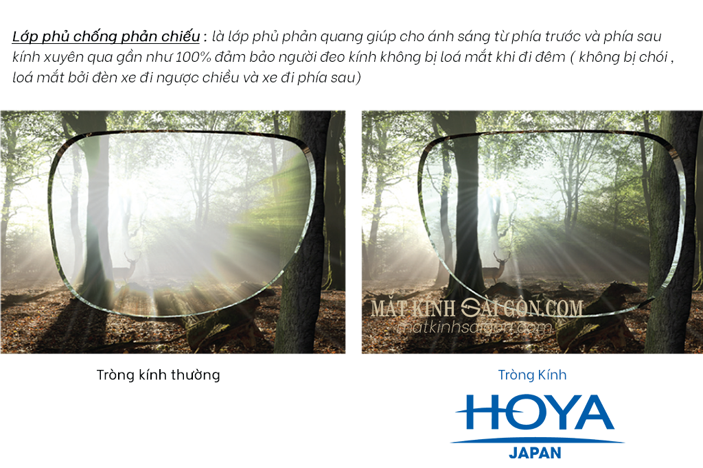 Tròng Kính Chống Bể 1.53 HOYA Hilux Phoenix - Hình 5