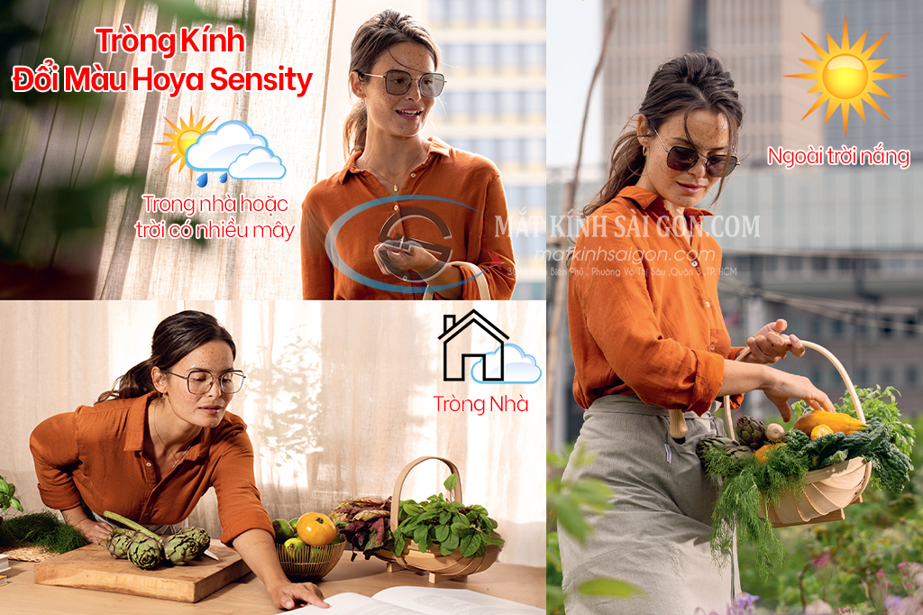 Tròng Kính Đổi Màu 1.50 Hoya Sensity - Hover