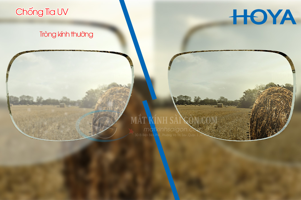Tròng Kính Đổi Màu 1.50 Hoya Sensity - Hình 5