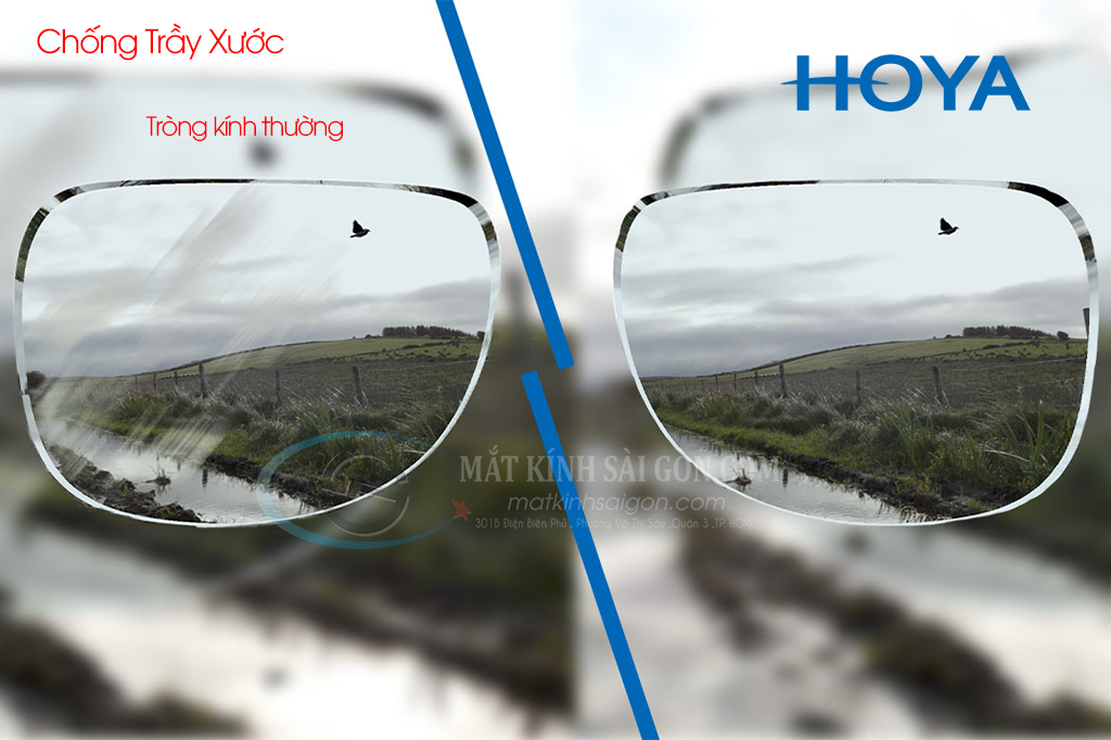 Tròng Kính Đổi Màu 1.50 Hoya Sensity - Hình 9