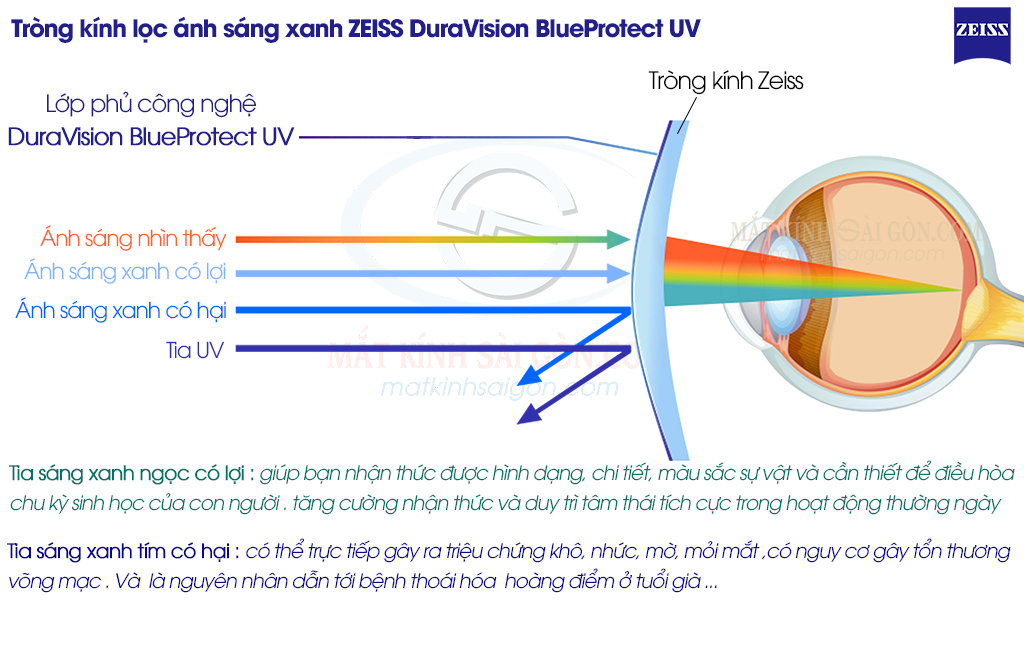 Tròng Kính 1.56 ZEISS DuraVision BlueProtect UV - Hover