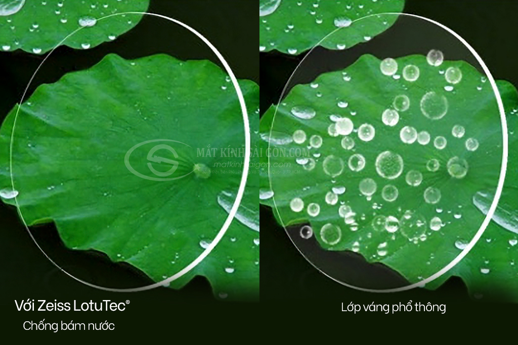 Tròng Kính ZEISS 1.56 Lotu Tec UV - Hover