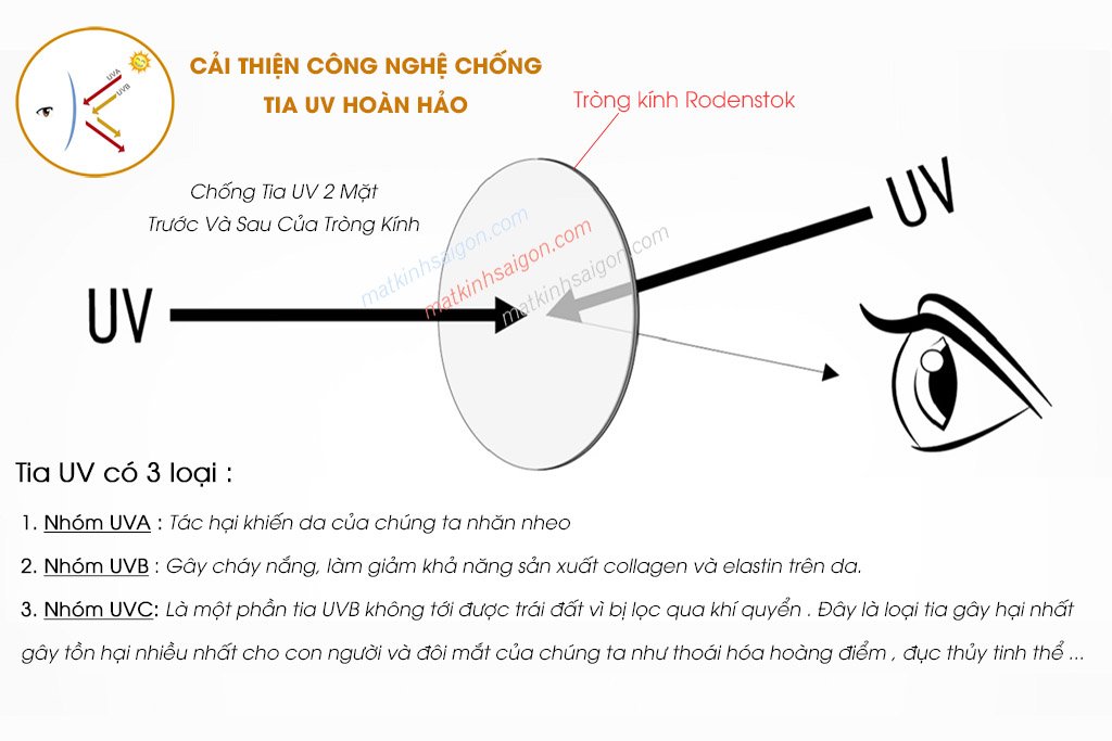 Tròng Kính Hai Tròng 1.50 Rodenstock Bifo Smart - Hình 13
