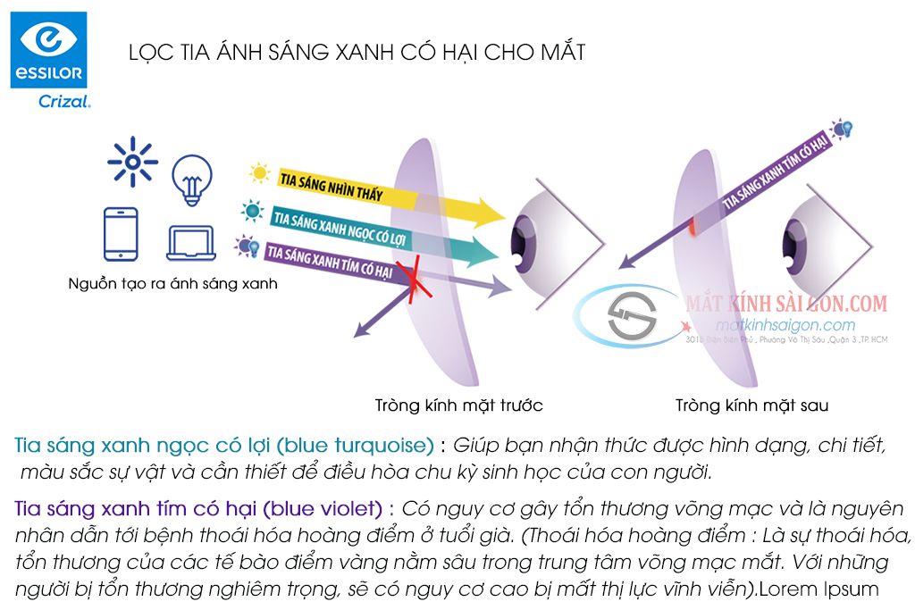 Tròng Kính Đa Tròng 1.60 Essilor Varilux Liberty 3.0 - Hình 6