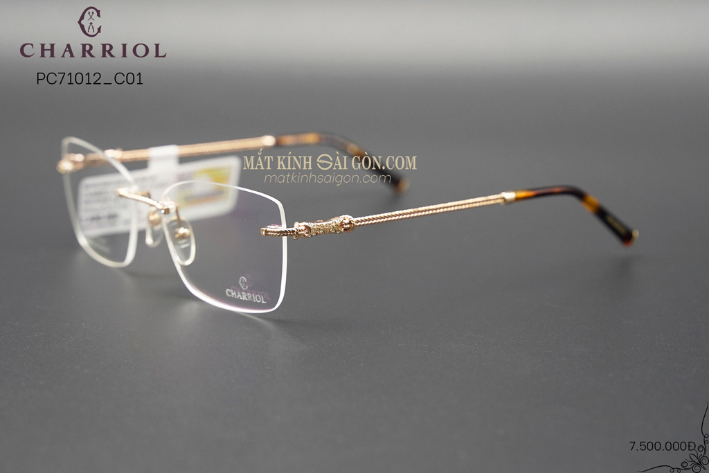 GỌNG KÍNH CHARRIOL PC71012 C01 - Hình 6