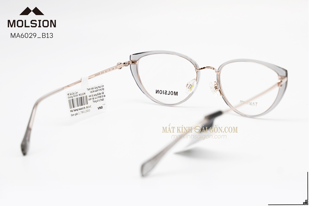 GỌNG KÍNH MOLSION MA6029 B13 - Hình 4
